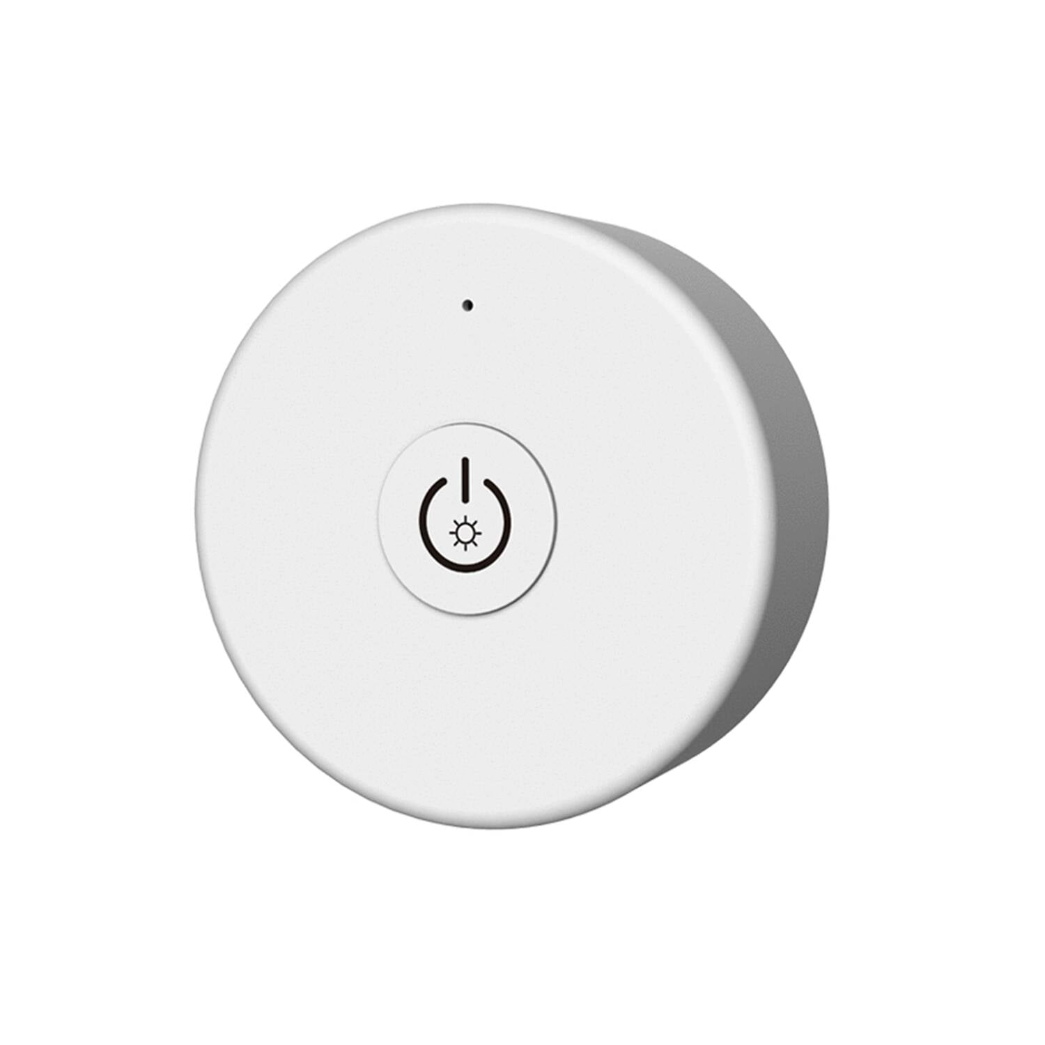 Télécommande Monochrome SKYDANCE R1-1 pour Contrôleur et Régulateur RF